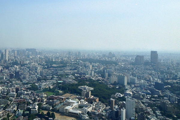 Tokyo for miles